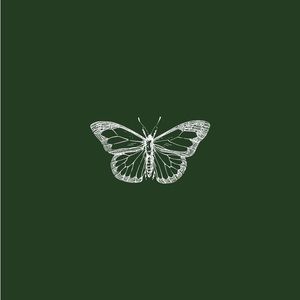 Meet your Posher, Yoselin